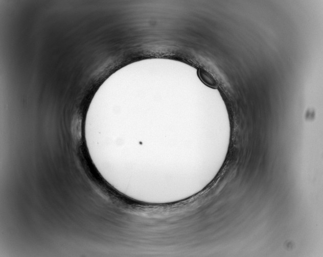 X0000103420021200810101029