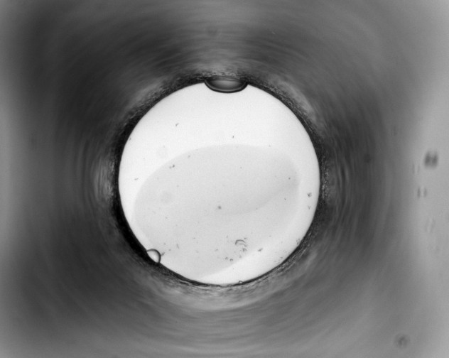 X0000103420023200810101029