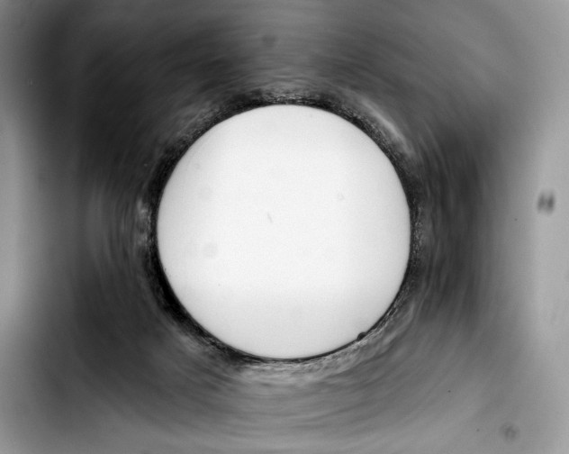 X0000103420025200810101029