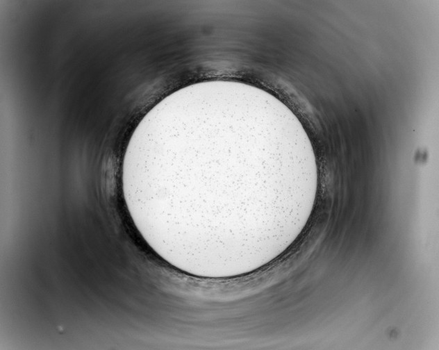X0000103420026200810101029