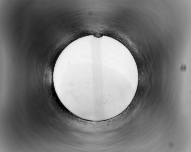 X0000103420027200810101029