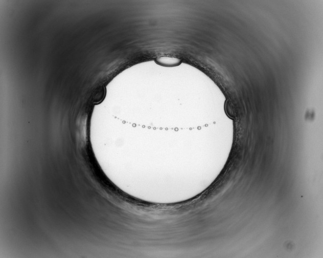 X0000103420028200810101029