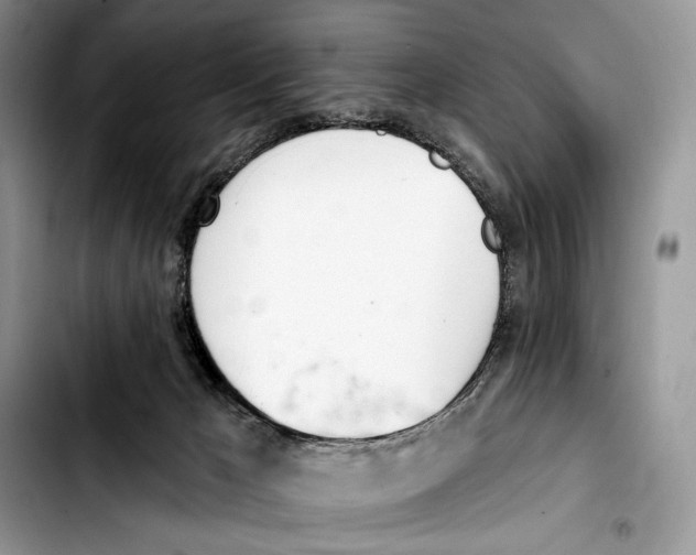 X0000103420029200810101029