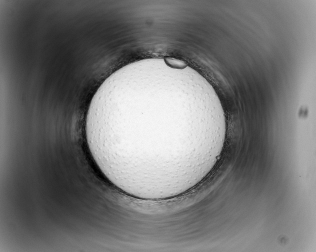 X0000103420030200810101029