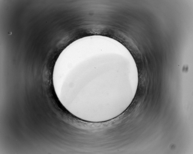 X0000103420031200810101029
