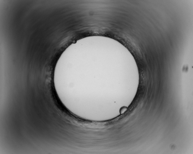 X0000103420032200810101029