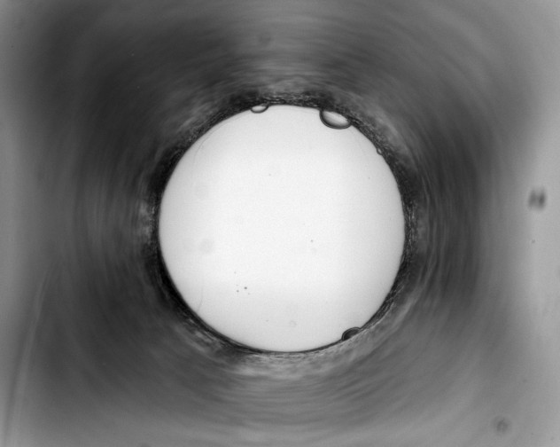 X0000103420033200810101029