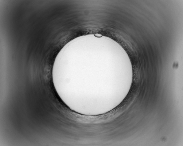 X0000103420034200810101029