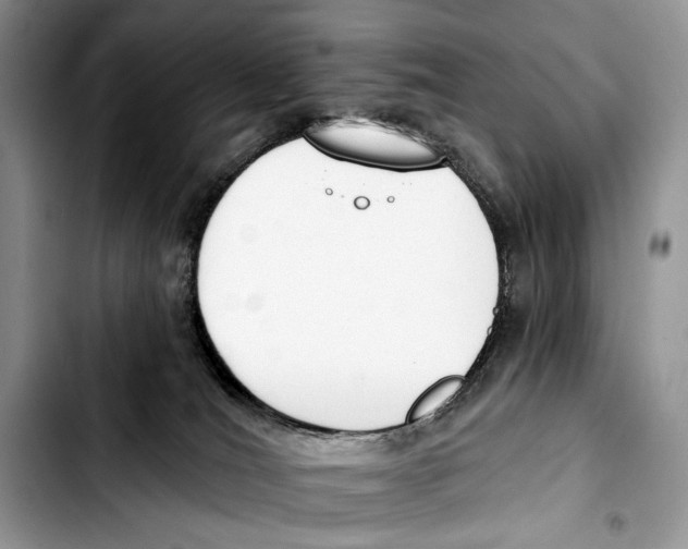 X0000103420036200810101029