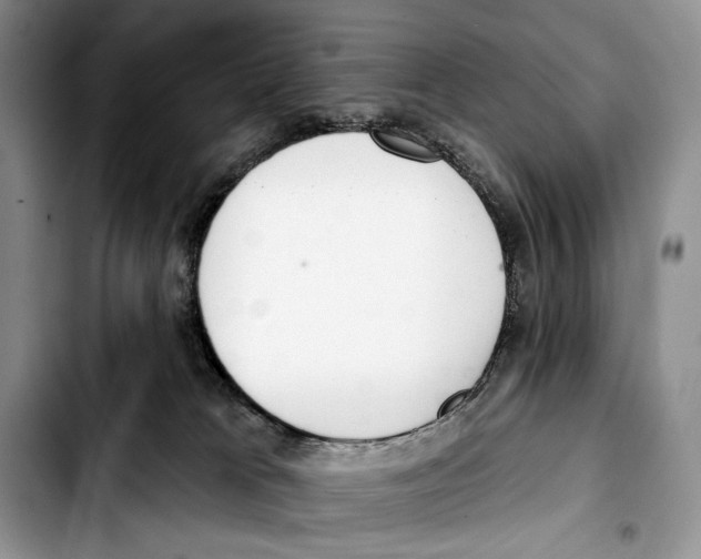 X0000103420037200810101029