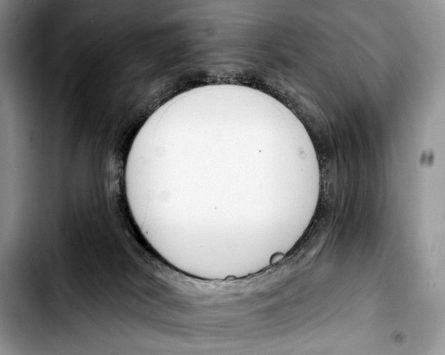 X0000103420038200810101029