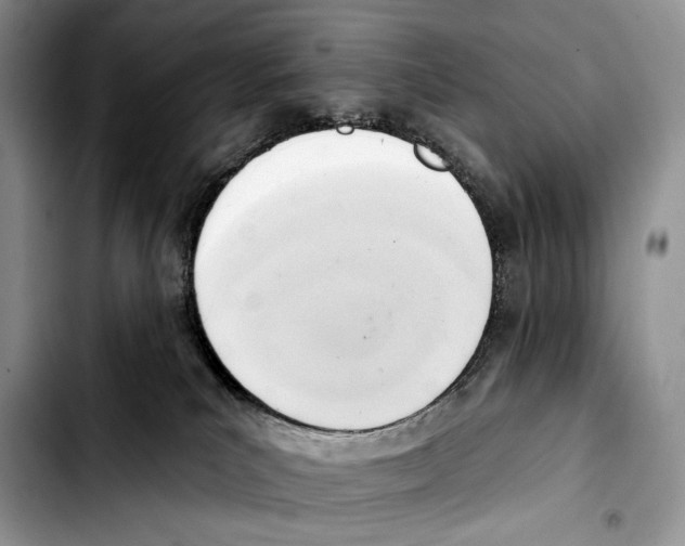 X0000103420039200810101029