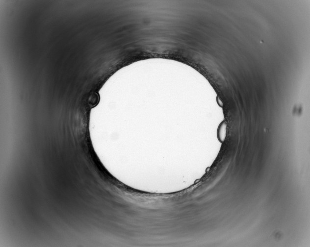 X0000103420040200810101029