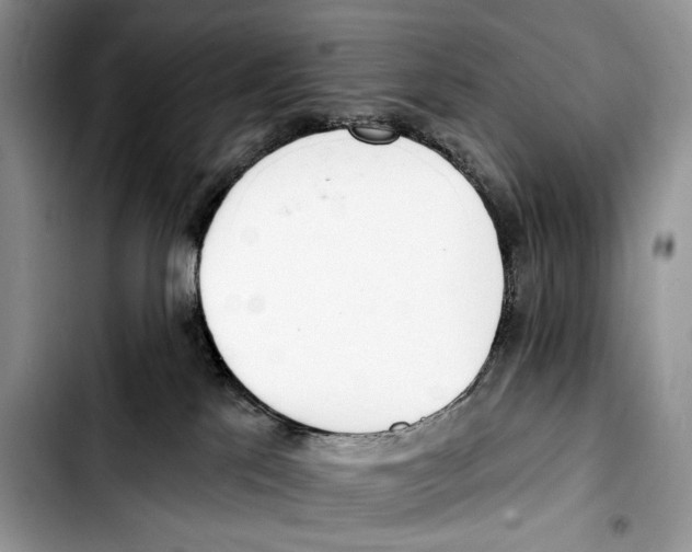 X0000103420041200810101029