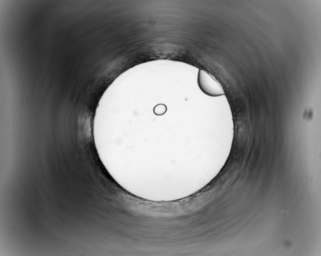 X0000103420042200810101029