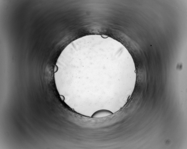 X0000103420043200810101029