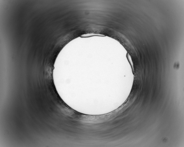 X0000103420045200810101029