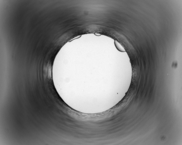 X0000103420046200810101029