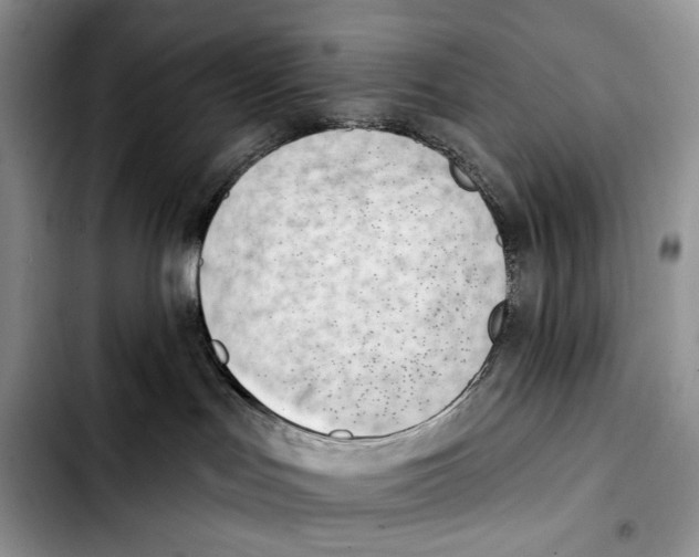 X0000103420047200810101029