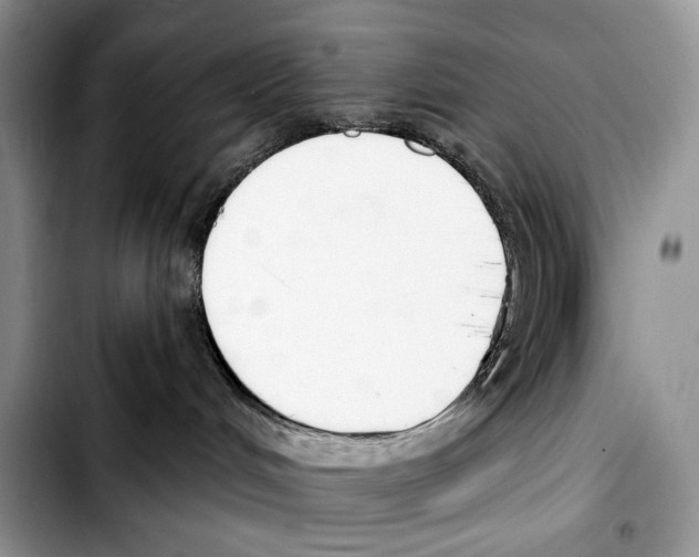 X0000103420048200810101029