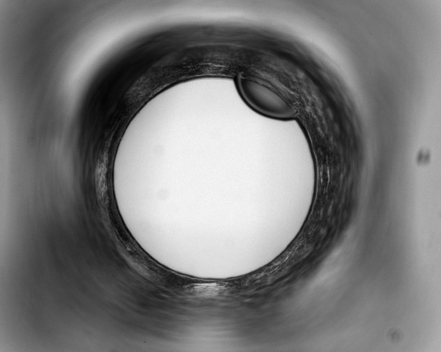 X0000103420050200810101028