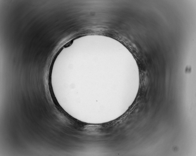 X0000103420051200810101028