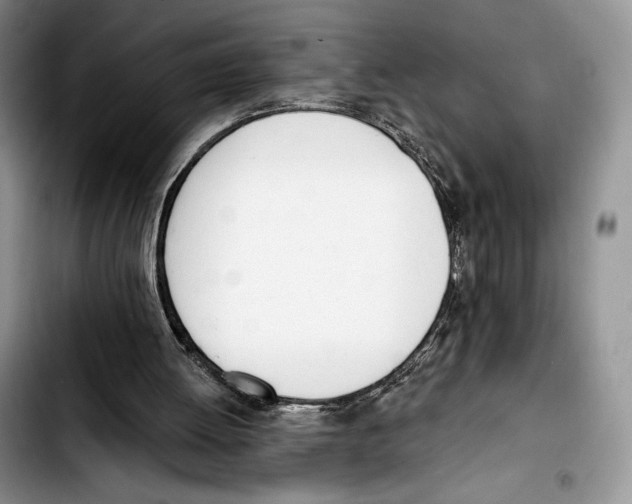 X0000103420052200810101028