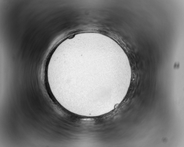 X0000103420053200810101028