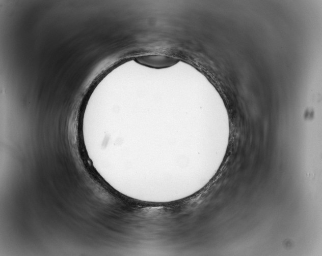 X0000103420054200810101028