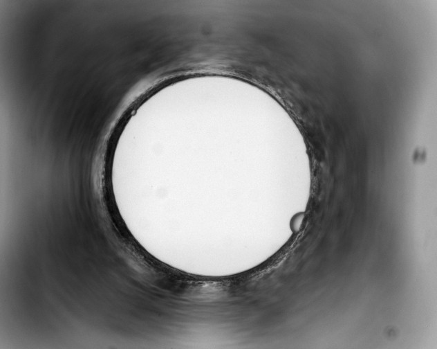 X0000103420056200810101028