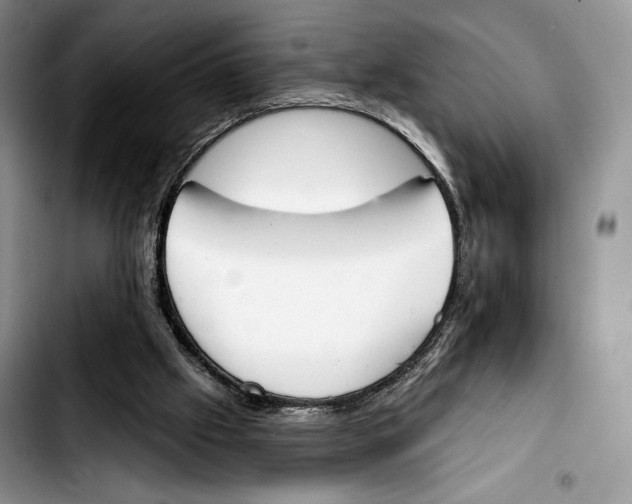 X0000103420057200810101028