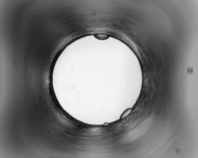 X0000103420059200810101028