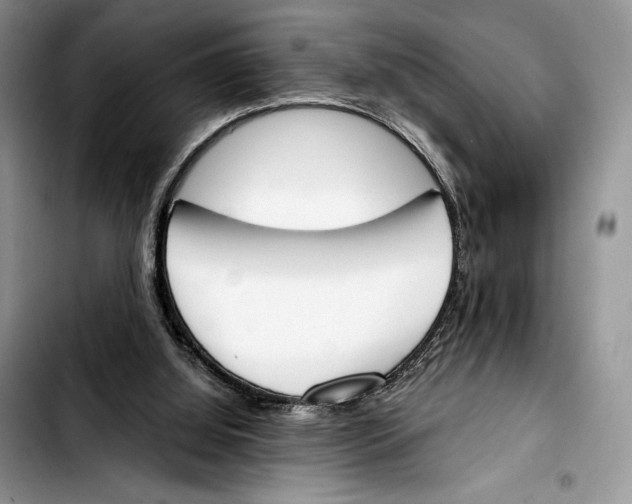 X0000103420060200810101028