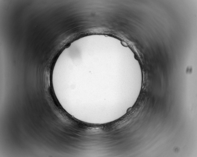 X0000103420061200810101028