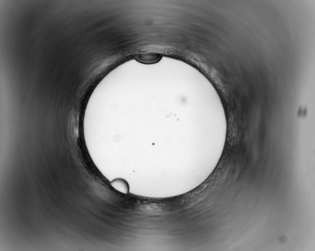 X0000103420062200810101028
