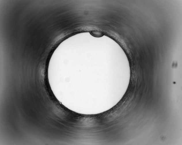 X0000103420063200810101028