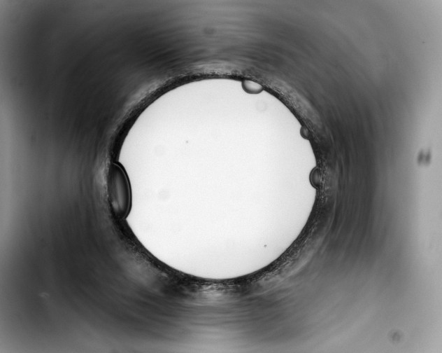 X0000103420064200810101028