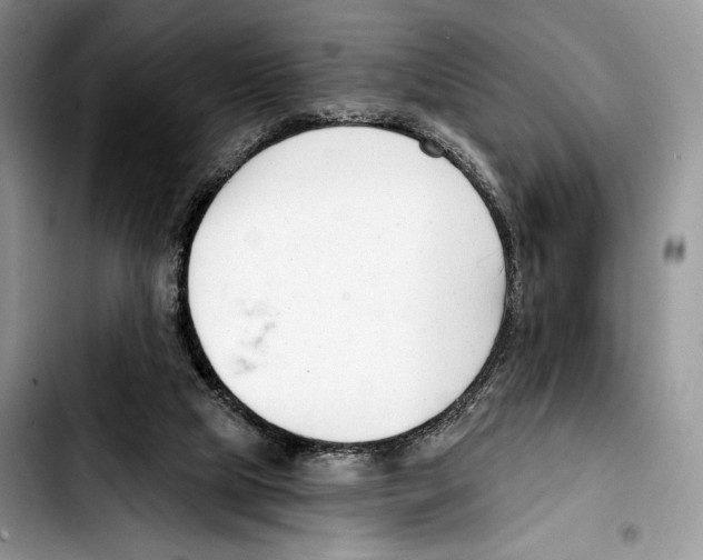 X0000103420065200810101028