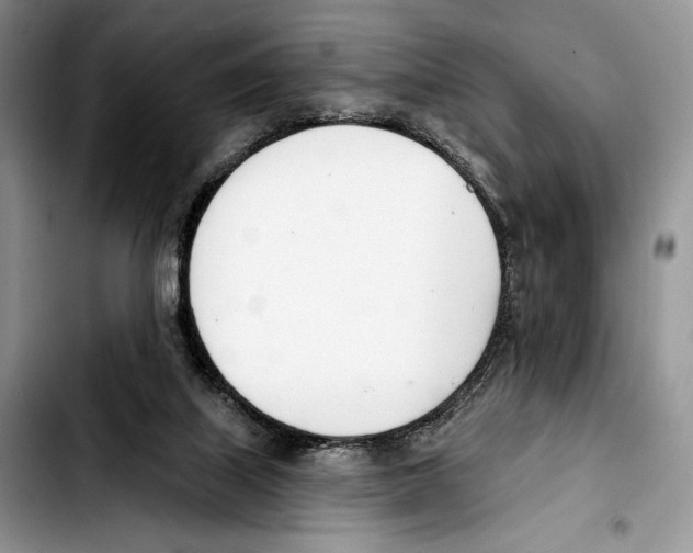 X0000103420067200810101028
