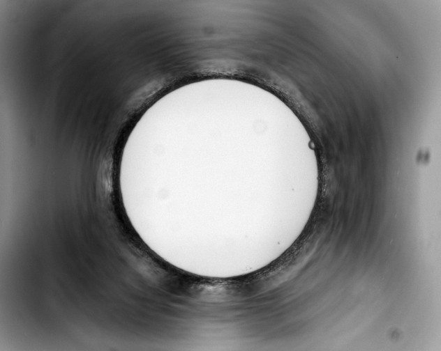 X0000103420068200810101029