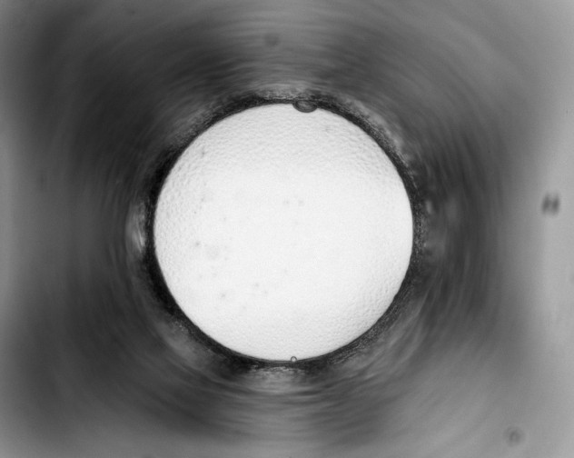 X0000103420069200810101029
