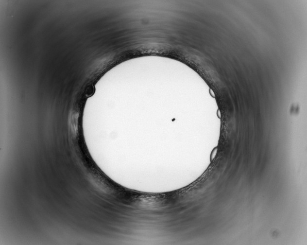 X0000103420070200810101029