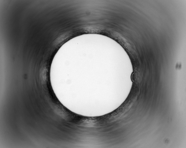 X0000103420071200810101029