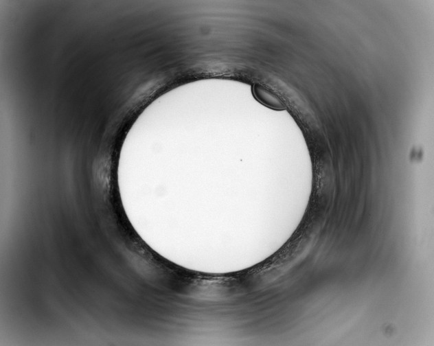 X0000103420072200810101029