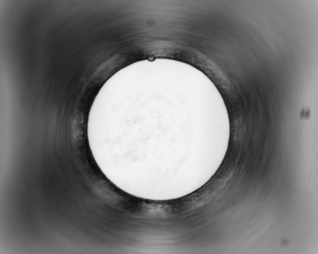 X0000103420073200810101029