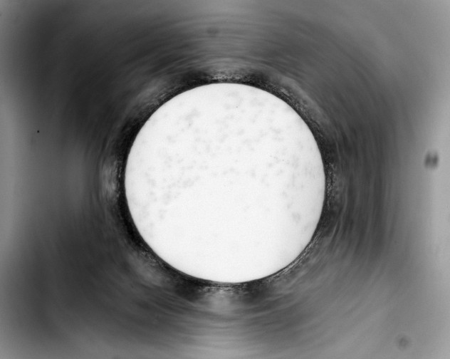 X0000103420074200810101029