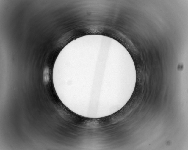X0000103420075200810101029