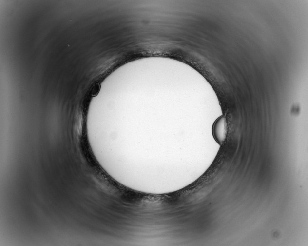 X0000103420076200810101029