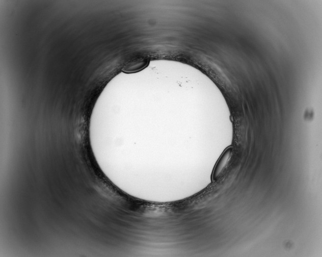 X0000103420077200810101029