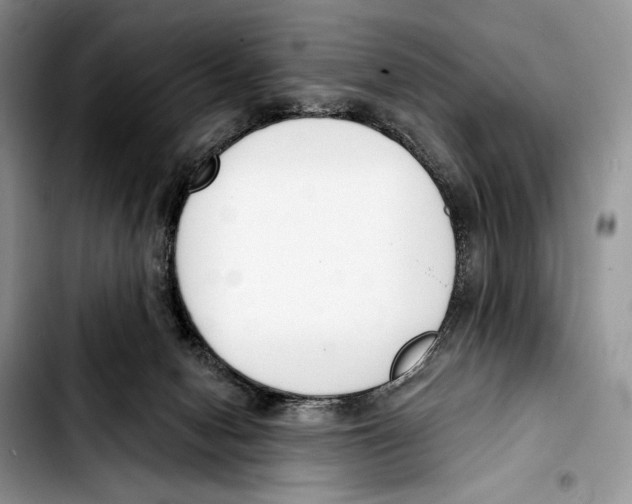 X0000103420078200810101029
